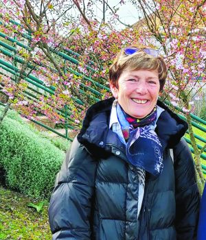 DEP vivette hirsch