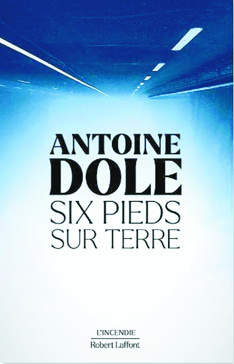 FabLivre-Dole