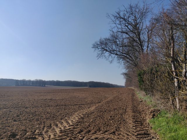 STCYRSSDOURDAN terre agri