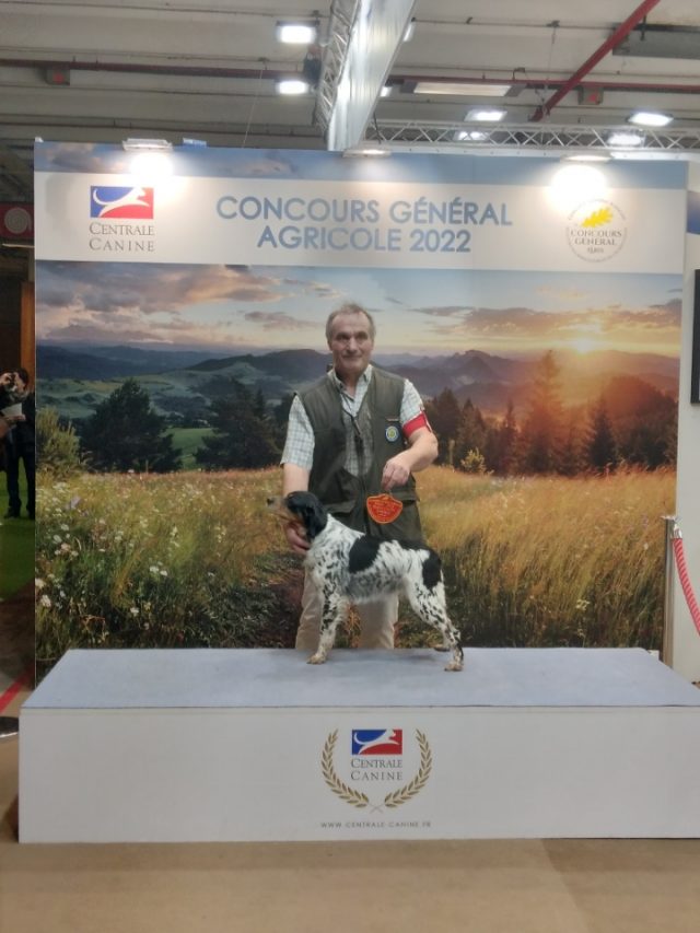 STCYRSSDOURDAN epagneul