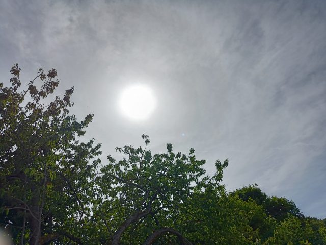 IMG20220616165109