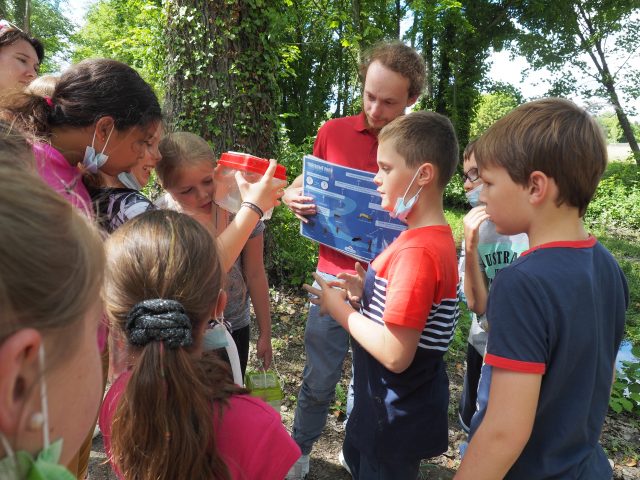 Les 22 élèves ont pratiqué la pêche à l'épuisette et appris à reconnaître les animaux qui peuplent les cours d'eau en Essonne.