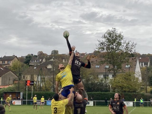Orsay - Ris rugby