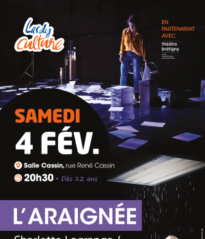 AFFICHE L ARAIGNEE
