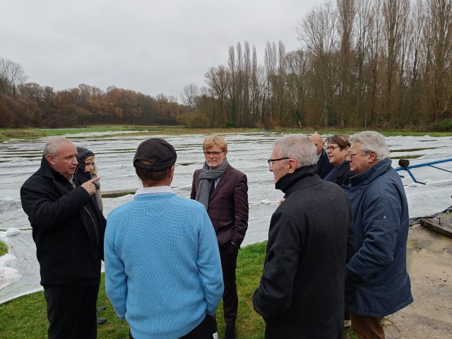 DEP visite fesneau