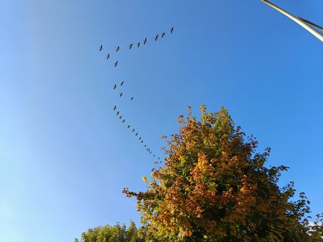 IMG20220904091823_01