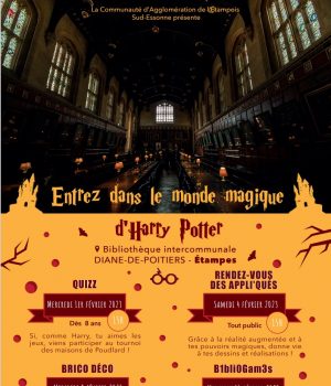 Harry Potter 23