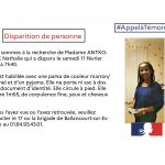 VERTLEPETITdisparitioninquiétante2