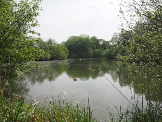 inauguration parc colombier Breuillet mai 2023 étang cygne vert