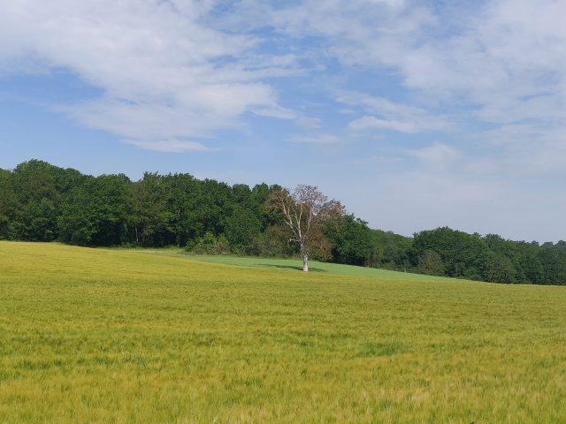 BREUXJOUY paysage