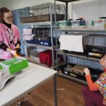 VLGDOURDANfauneessonne5-min